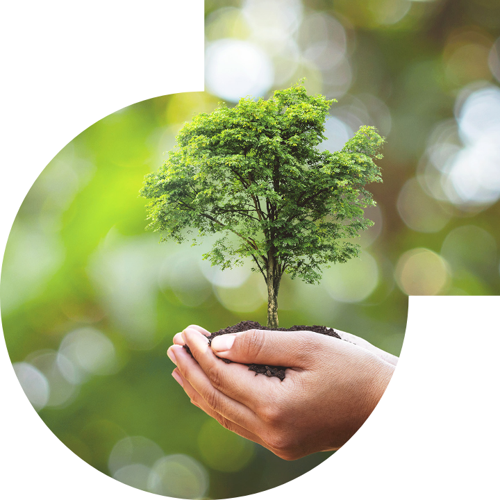 关怀人类、文化、环境与社会